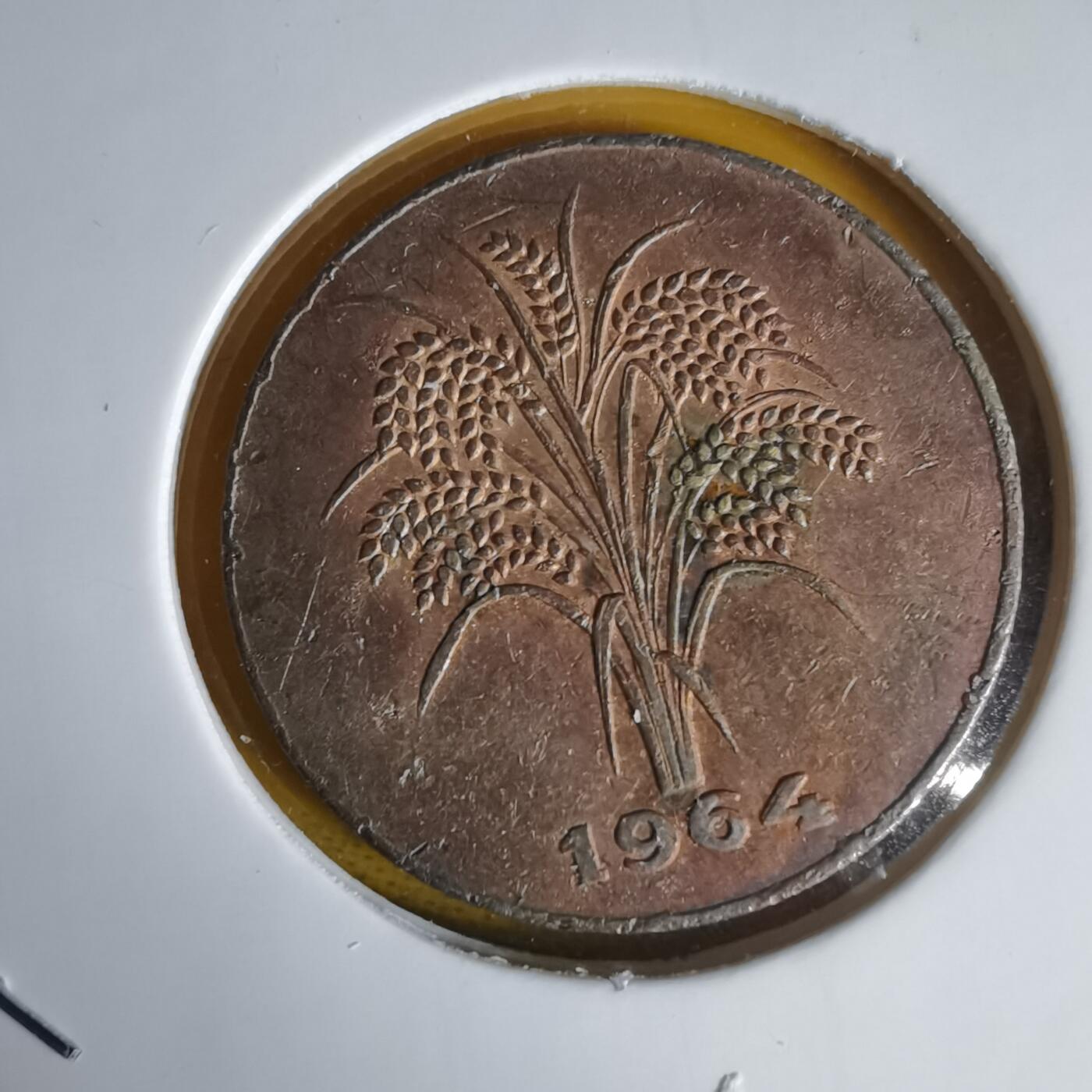 沼泽如烟--第1060场