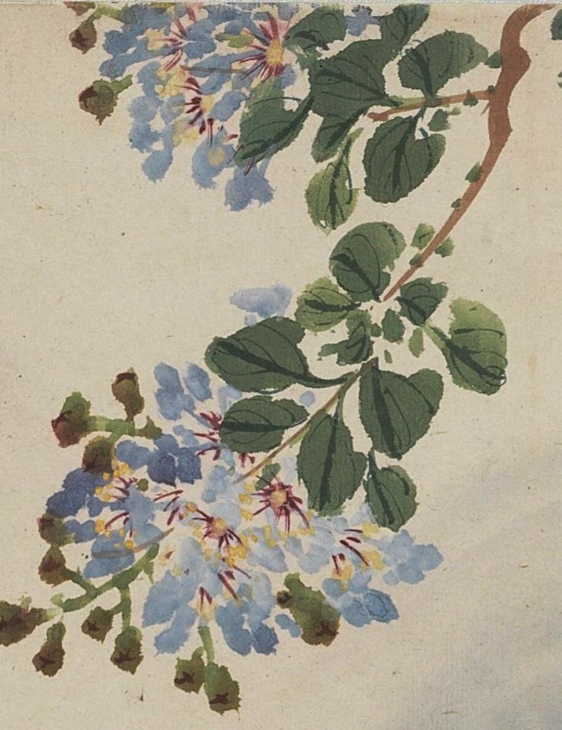 碧月说宝. 近现代书画专场（十） 陈子恒 四季花卉册