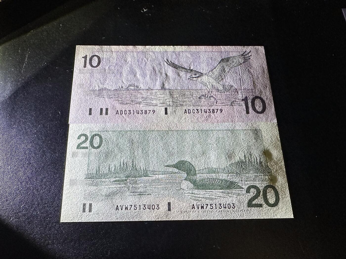 《外钞收藏家》第六百二十八期（精品百拍场）（长期征集拍品、欢迎藏友们联系合作） 加拿大鸟版10和20元 2张一起 全新UNC