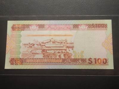 2026四月第三期，总第224期 文莱1996版100元UNC- 中年苏丹博尔吉亚和文莱国际机场