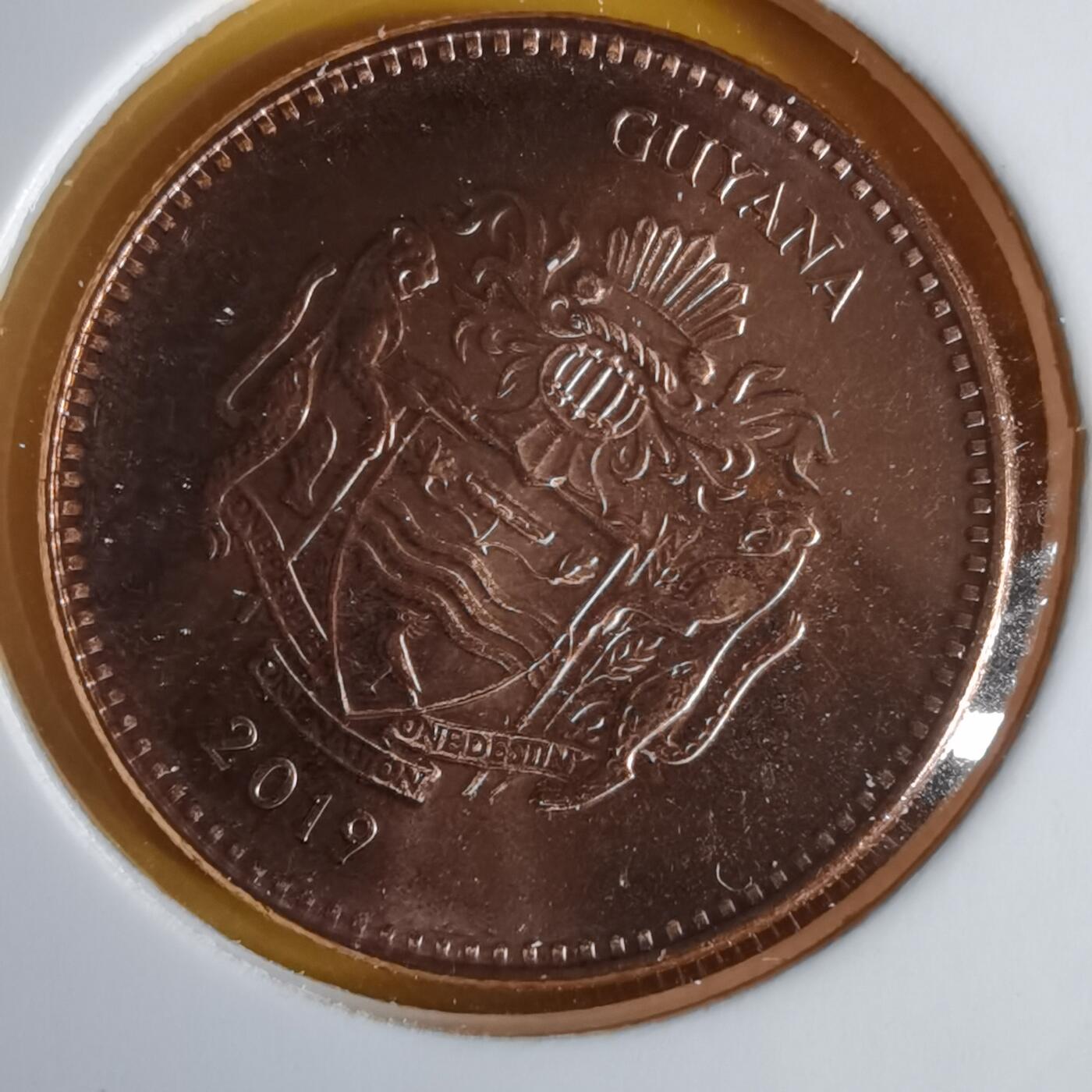 沼泽如烟--第1060场