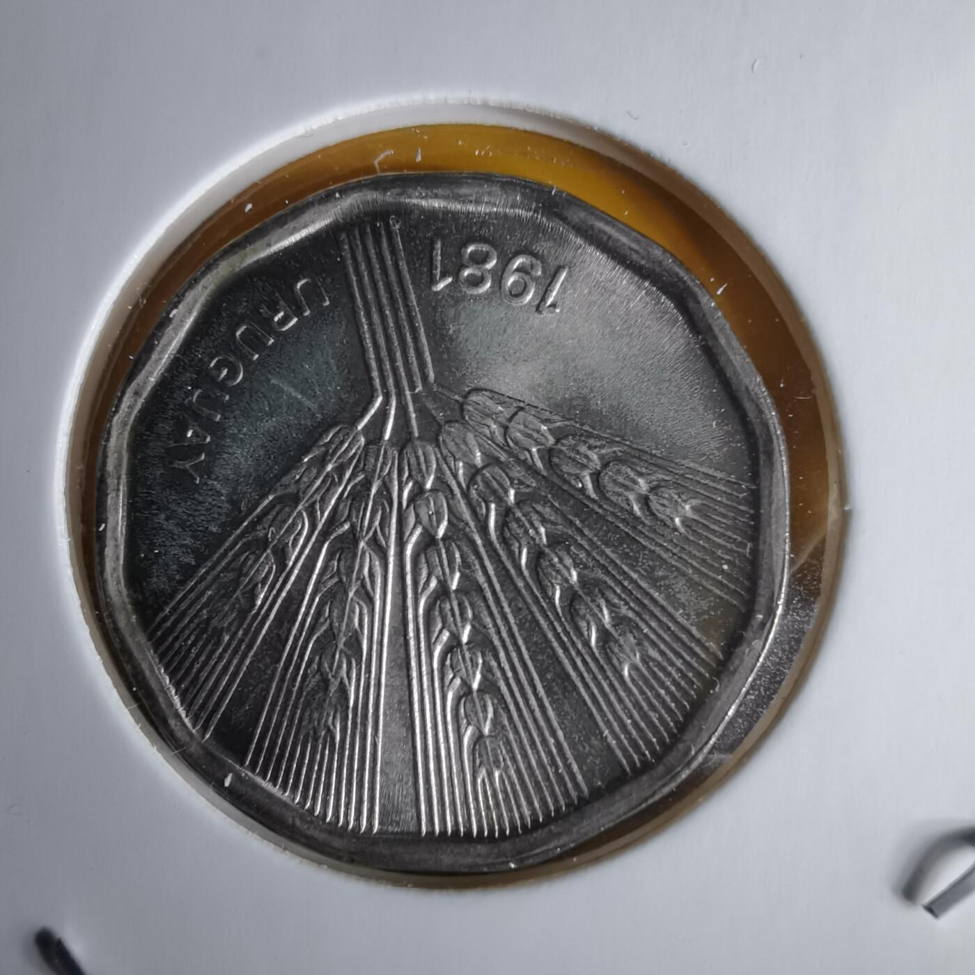 沼泽如烟--第1060场