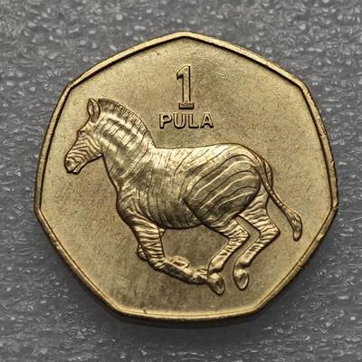  【淘币小摊】限时拍第八百九十五拍  埃塞俄比亚留尼旺比利时意大利场    每周一统一发货 博茨瓦纳1991年斑马1普拉铜币 km24