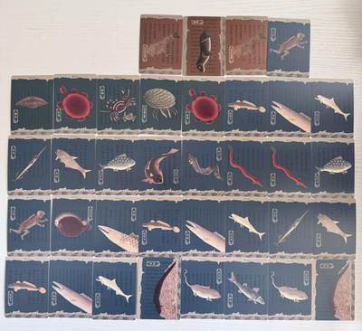 NO.30 好又多金牌大场，每周一站式配齐，方便凑单！（周6晚9点截拍，卖家送拍0抽成！） - 人文之宝 许成成等 海错图 海鱼 海物 海怪卡 28+5+3张