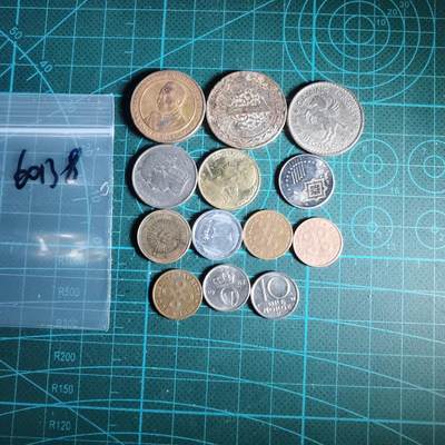 沼泽如烟--第1060场 散币13枚