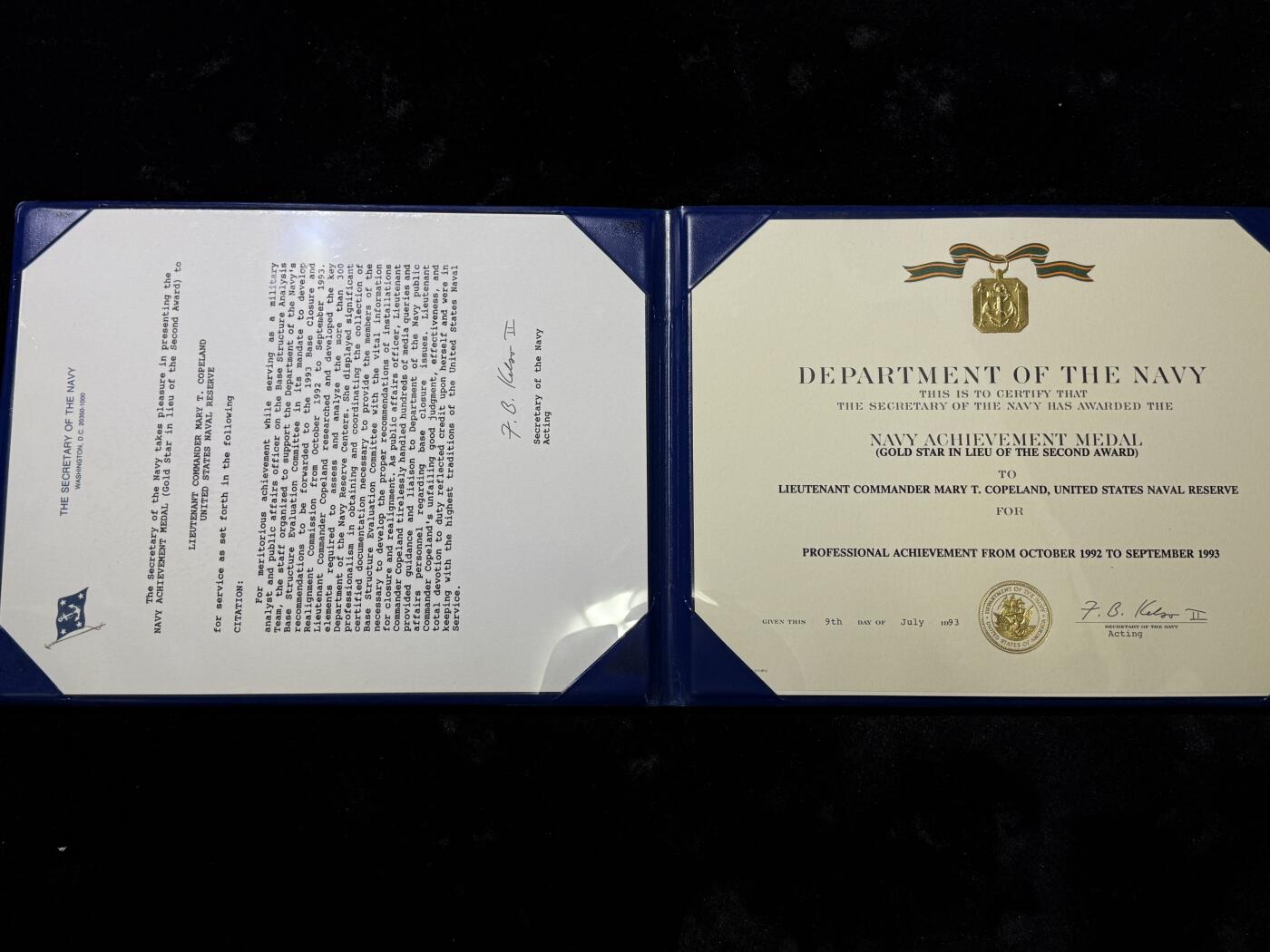 戎马世界章牌大赏第115期