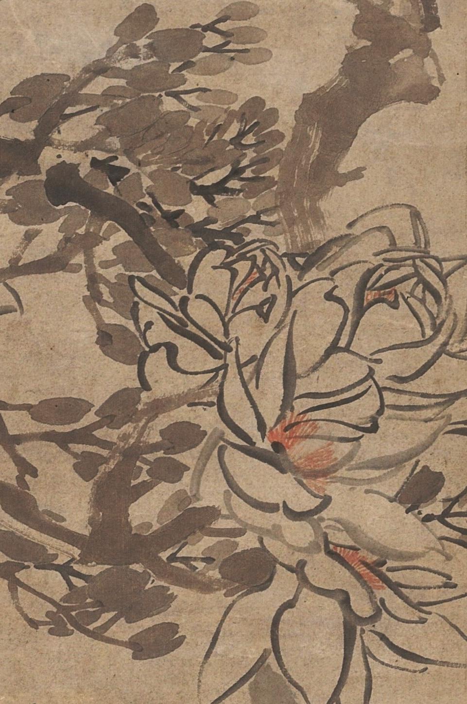 碧月说宝. 近现代书画专场（十） 任伯年（款） 玉兰栖雀