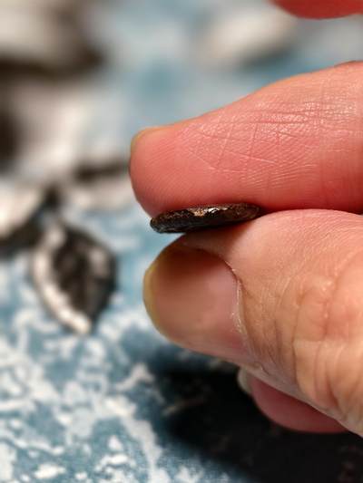 抚柳草堂-第二十六期章牌钱币  奖章勋章 满百包邮 放漏专场 三佛齐王国末期至满者伯夷王国早期打制小银币 1.4g重 水银古包浆漂亮 正面有檀香花徽记，背面爪哇岛文，面值1 Unit或称Masa