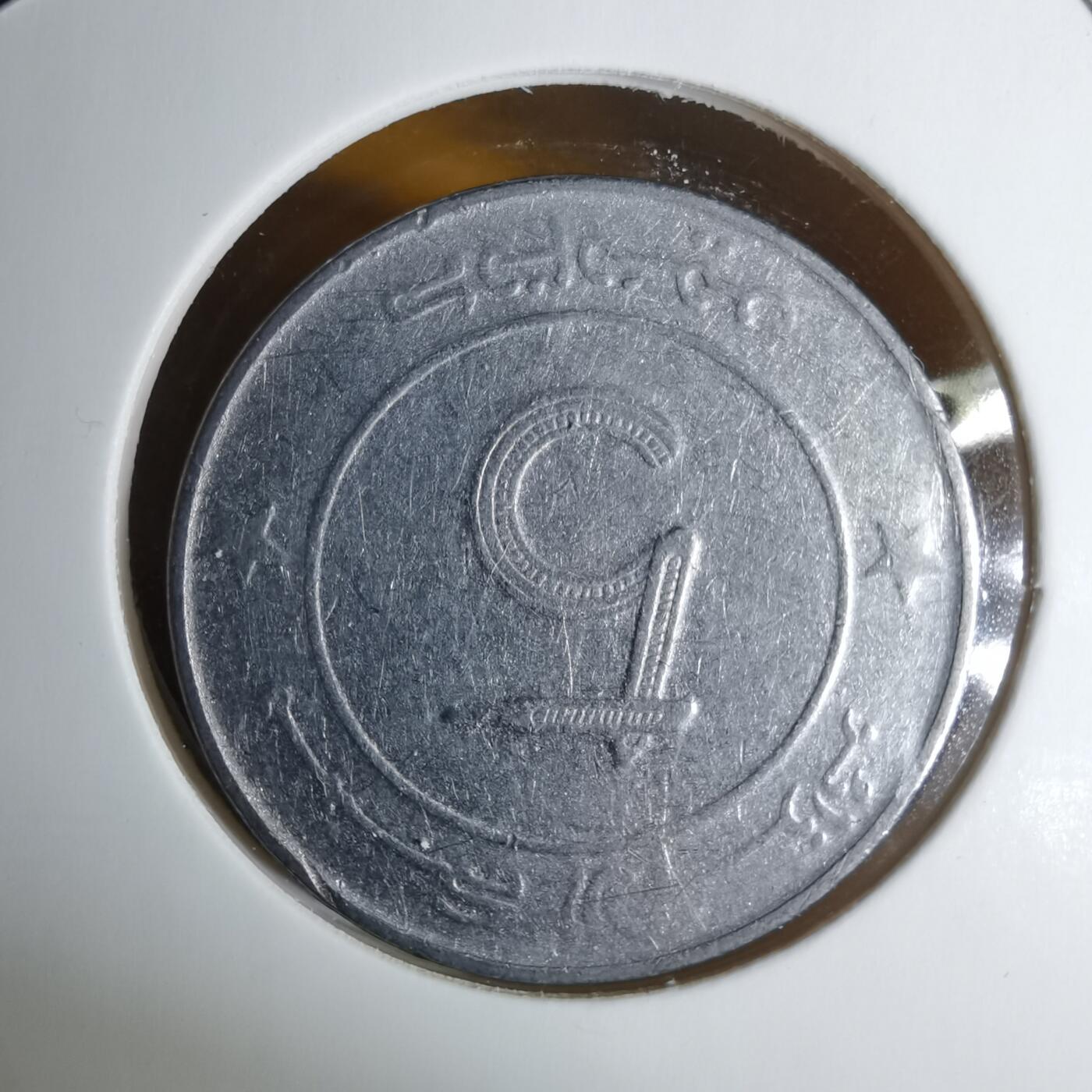 沼泽如烟--第1060场