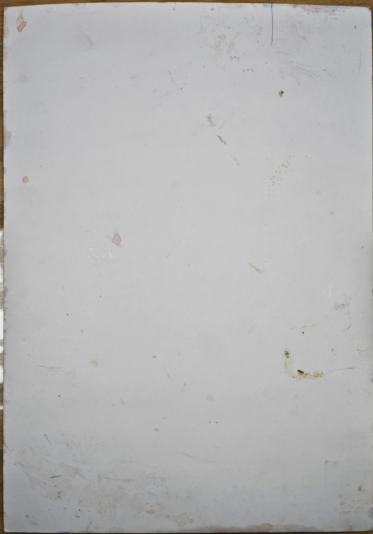 白泽拍卖卡牌手绘专场第35期（问东城春色，正谷雨，牡丹期） 2025 刘晓明手绘画 降龙 尺寸;20.7cm*29.5cm  刘晓明钤印