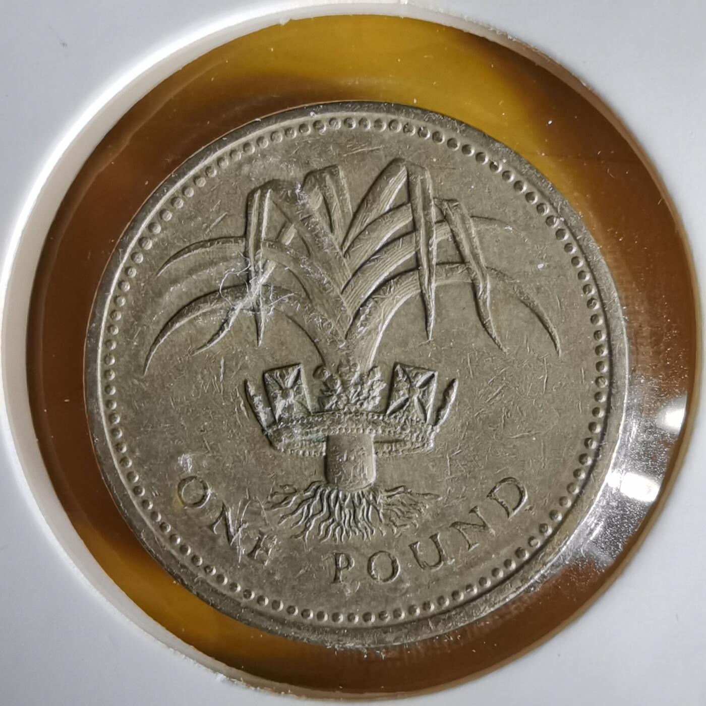 沼泽如烟--第1061场 英国1985年一磅