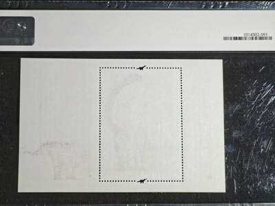 刘世昌艺术品销售中心～虎踞龙蟠*金杨在线联拍群第521期 2017年2017-11M（T）  《中国恐龙》 6元 特种邮票小型张（ASG   XF90   串号：1014502-091）1枚。