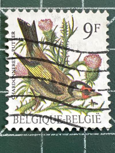 第1169 邮票专场 （无押金，捡漏，全场50包邮，偏远地区除外，接收代拍业务，本店十天发一次货） 比利时邮票