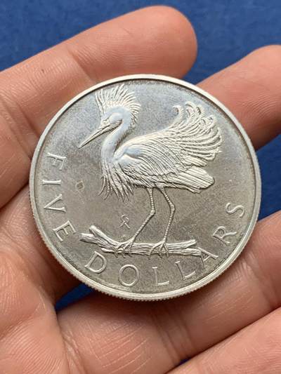 《竞宝斋》第481场 周日，周一 2场连拍 （全场包邮）20级店铺 欢迎送拍 - 英属维尔京群岛1979年5元苍鹭银币，925银，40.8克，苍鹭图案精美，镜面精制，品相不错，英属维尔京群岛鸟类主题大规格银币，收藏潜力大，细节见图