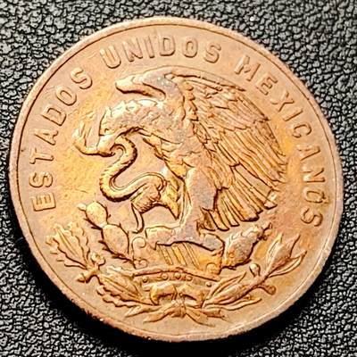 泉币菌-第228场-三月三 上巳节专场 拍品多 请提前出价 墨西哥1955年 20分青铜币 28.5毫米 10.0克 鹰蛇仙人掌