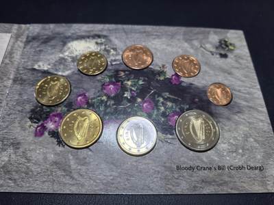 长老汇马年精选第十八场拍卖 2007爱尔兰阿伦岛欧元官方8枚套币，卡装