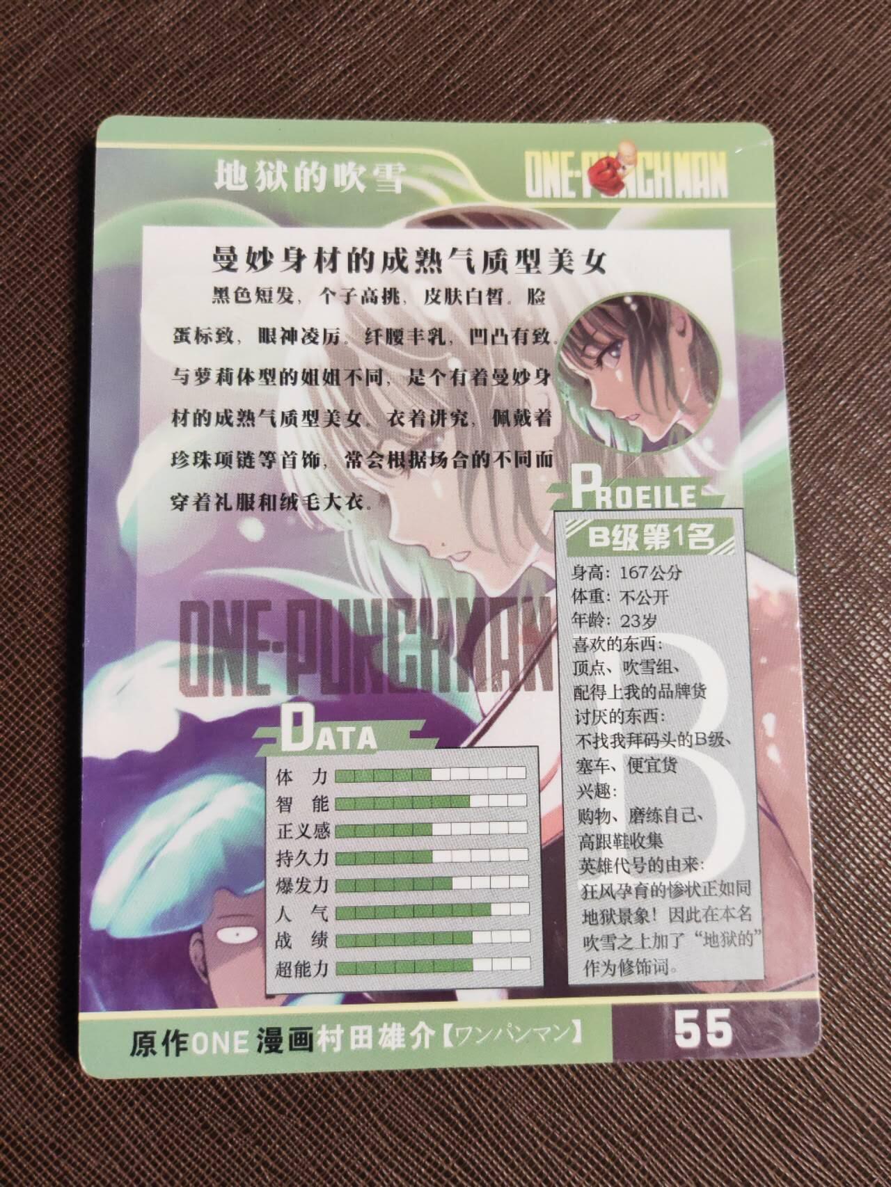 第112期阳大大卡牌拍卖第112期（持续收拍品，周六晚上九点截拍，进群福利早知道） 【彩闪大卡】地狱吹雪 彩闪 大卡12张