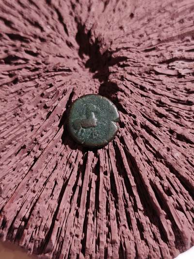 大象古币古希腊古罗马打制钱币专场第二季 - 古希腊奔跑的骏马背面是葡萄串铜币