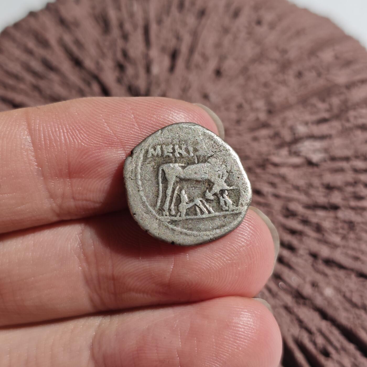 大象古币古希腊古罗马打制钱币专场第二季