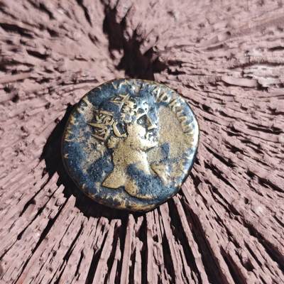 大象古币古希腊古罗马打制钱币专场第二季 - 古罗马帝国哈德良皇帝 阿斯大铜币