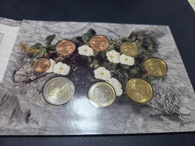 长老汇马年精选第十八场拍卖 2007爱尔兰阿伦岛欧元官方8枚套币，卡装