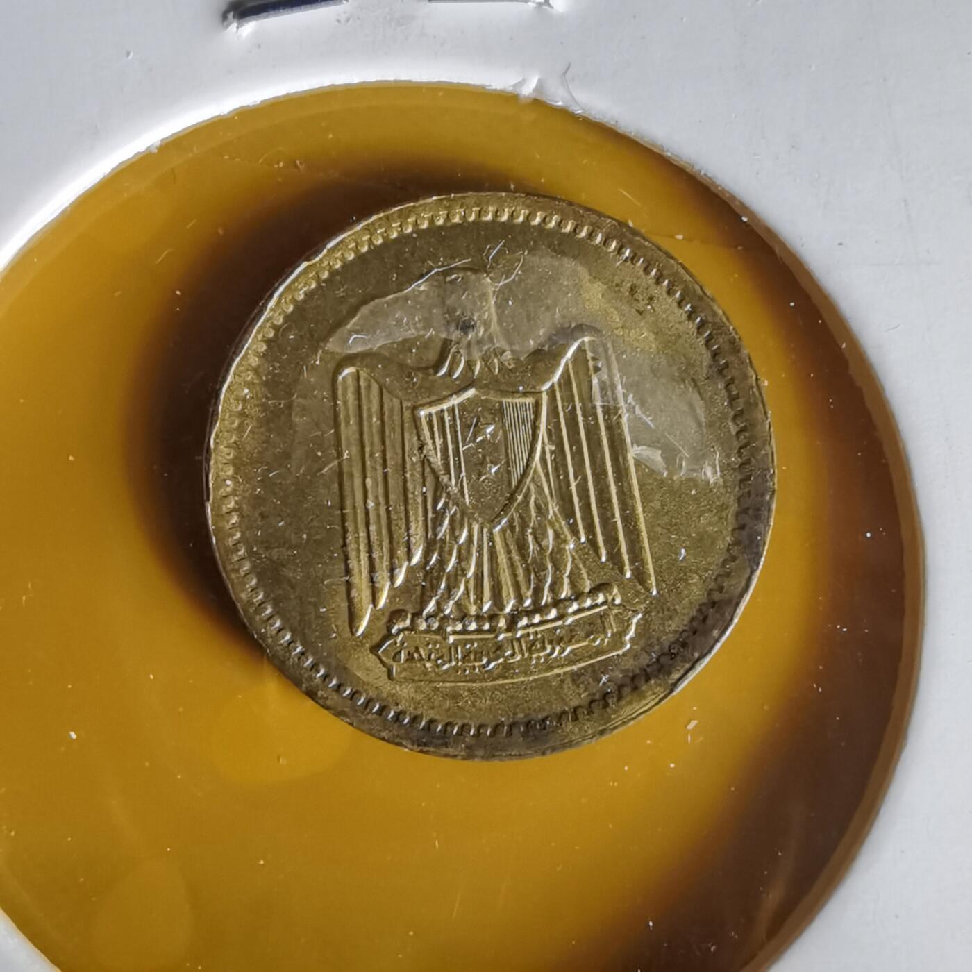 沼泽如烟--第1061场 埃及