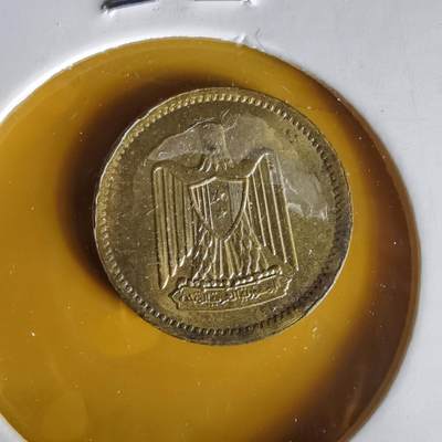 沼泽如烟--第1061场 - 埃及