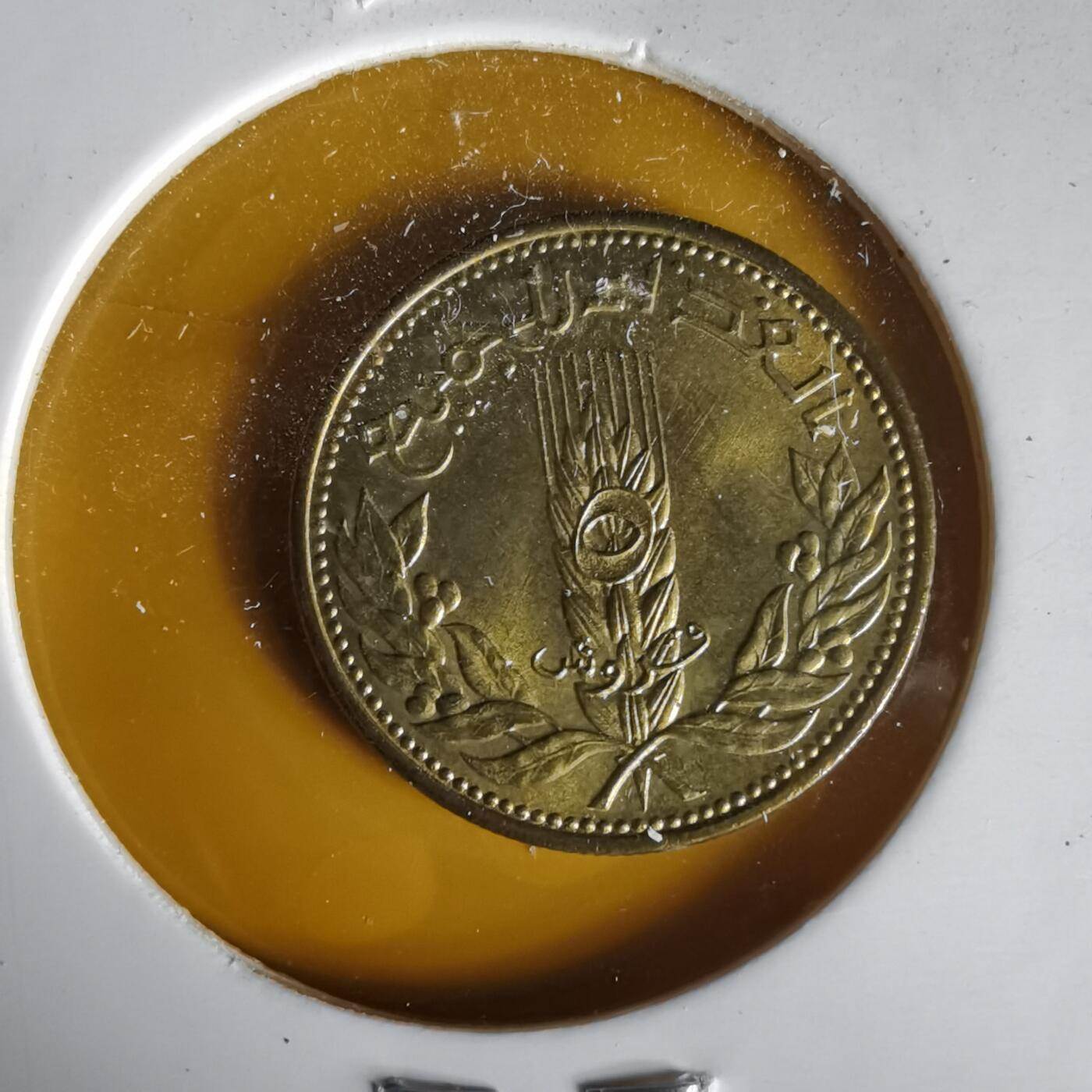 沼泽如烟--第1061场 叙利亚1971年5米利姆FAO