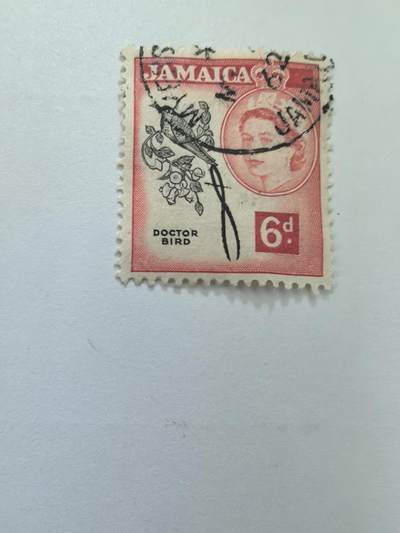杂票 英属牙买加 鸟 女王头像1枚旧雕