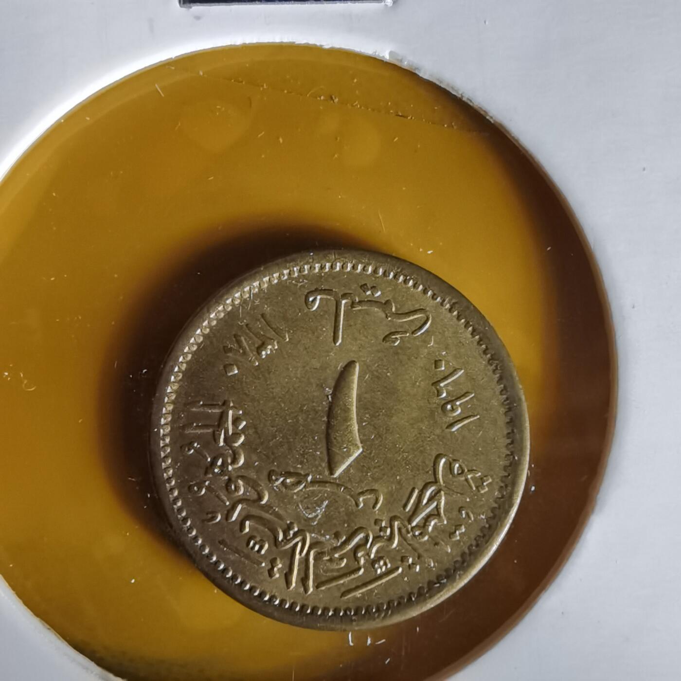 沼泽如烟--第1061场 埃及