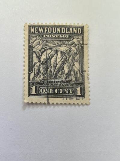 杂票 纽芬兰邮票 鱼1枚旧雕