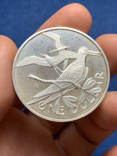 《竞宝斋》第481场 周日，周一 2场连拍 （全场包邮）20级店铺 欢迎送拍 - 英属维尔京群岛1979年1元海鸟银币，925银，25.3克，热带海鸟主题，浮雕栩栩如生，镜面工艺，品相好，世界鸟类银币系列收藏级品种