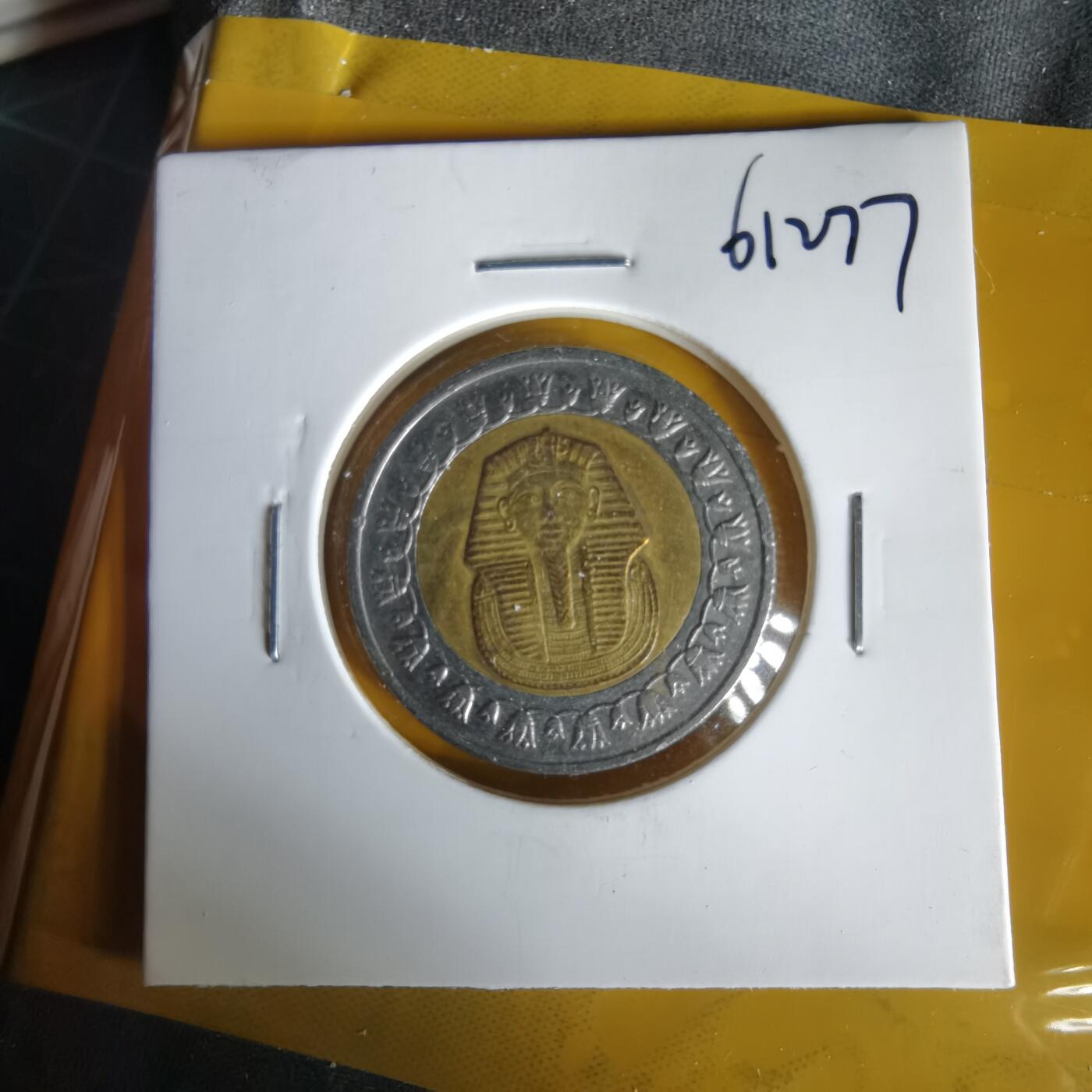 沼泽如烟--第1061场 埃及