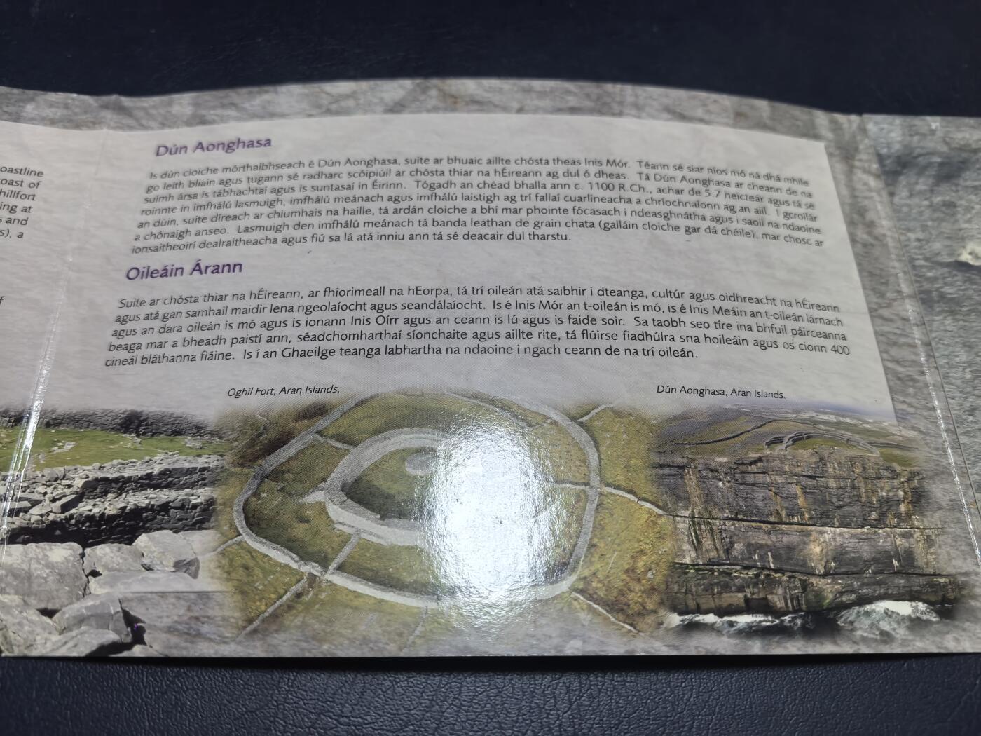 长老汇马年精选第十八场拍卖