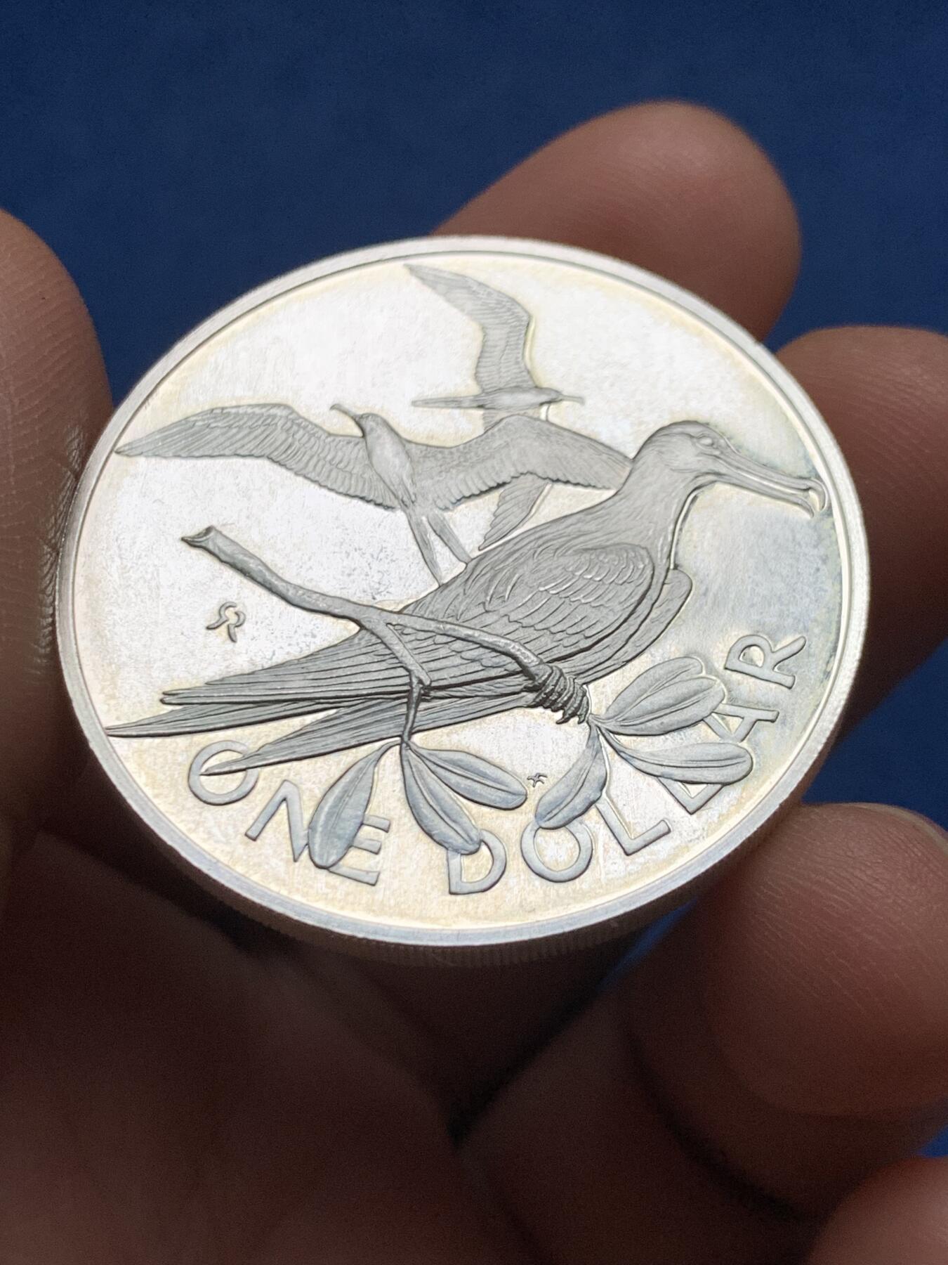 《竞宝斋》第481场 周日，周一 2场连拍 （全场包邮）20级店铺 欢迎送拍 英属维尔京群岛1979年1元海鸟银币，925银，25.3克，热带海鸟主题，浮雕栩栩如生，镜面工艺，品相好，世界鸟类银币系列收藏级品种