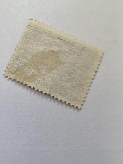 杂票 纽芬兰邮票 鱼1枚旧雕