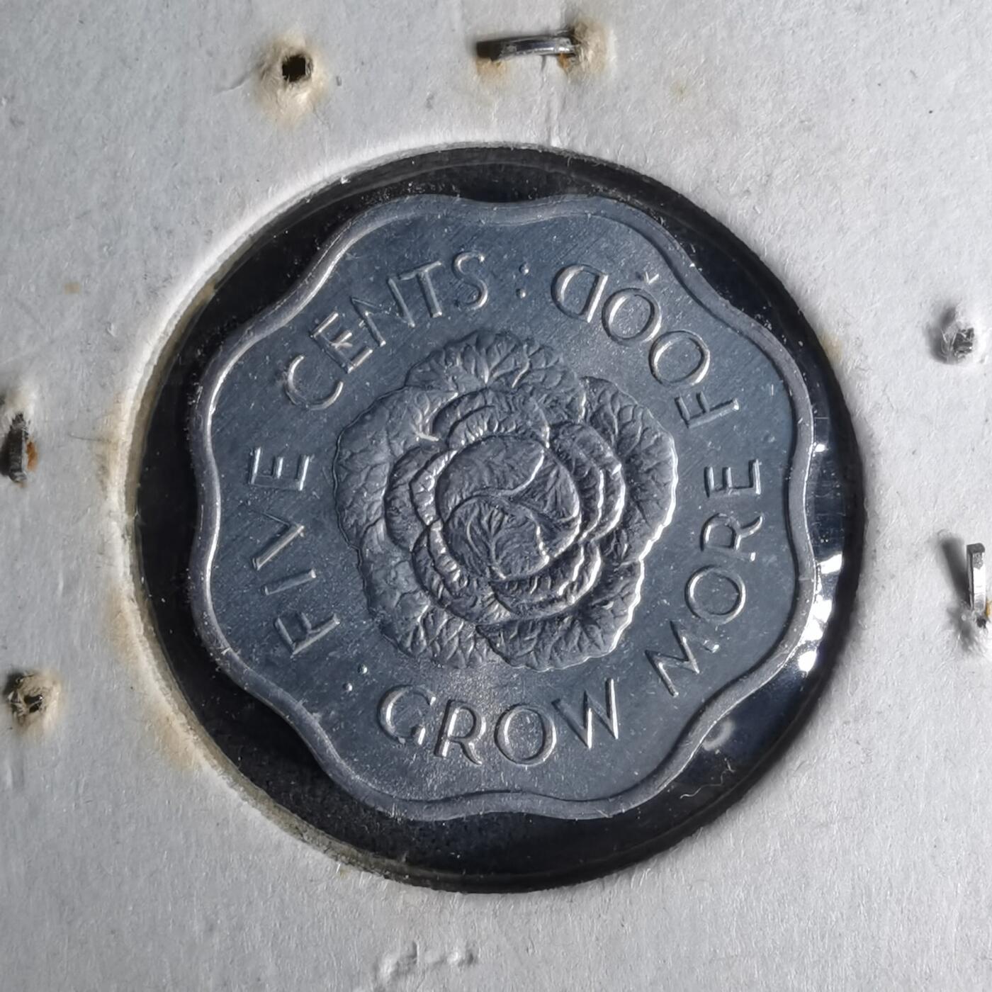 沼泽如烟--第1057场 塞舌尔1972年五分FAO