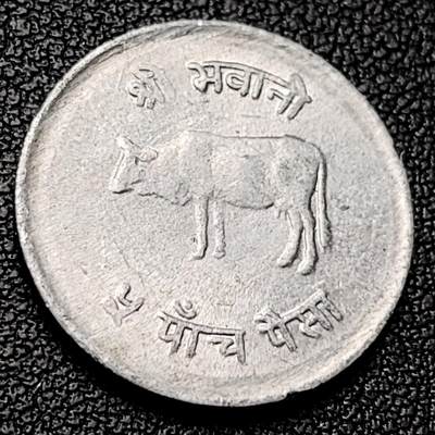 泉币菌-第228场-三月三 上巳节专场 拍品多 请提前出价 牦牛 尼泊尔5派沙硬币 70年代 直径20.5MM 铝币 