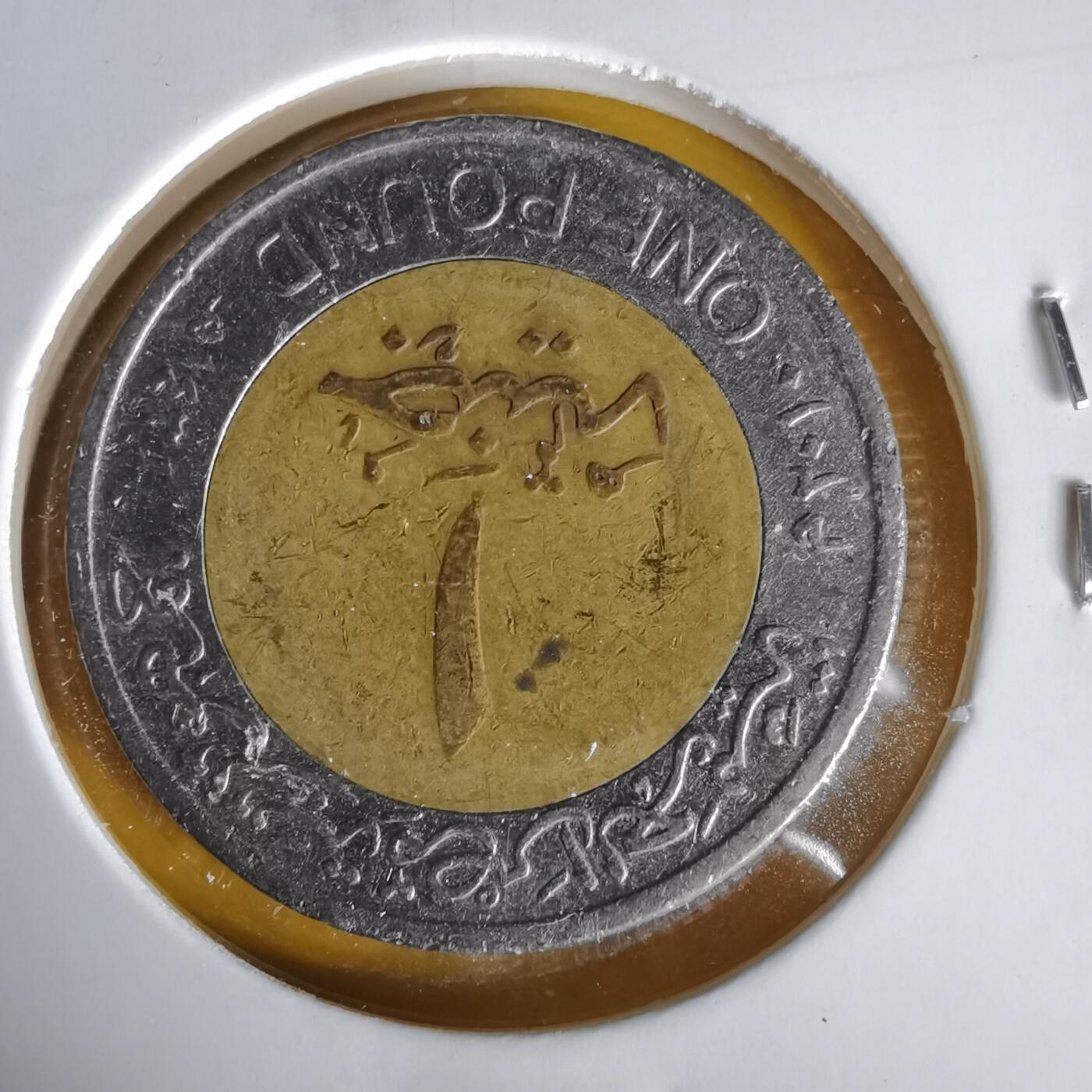 沼泽如烟--第1061场 埃及