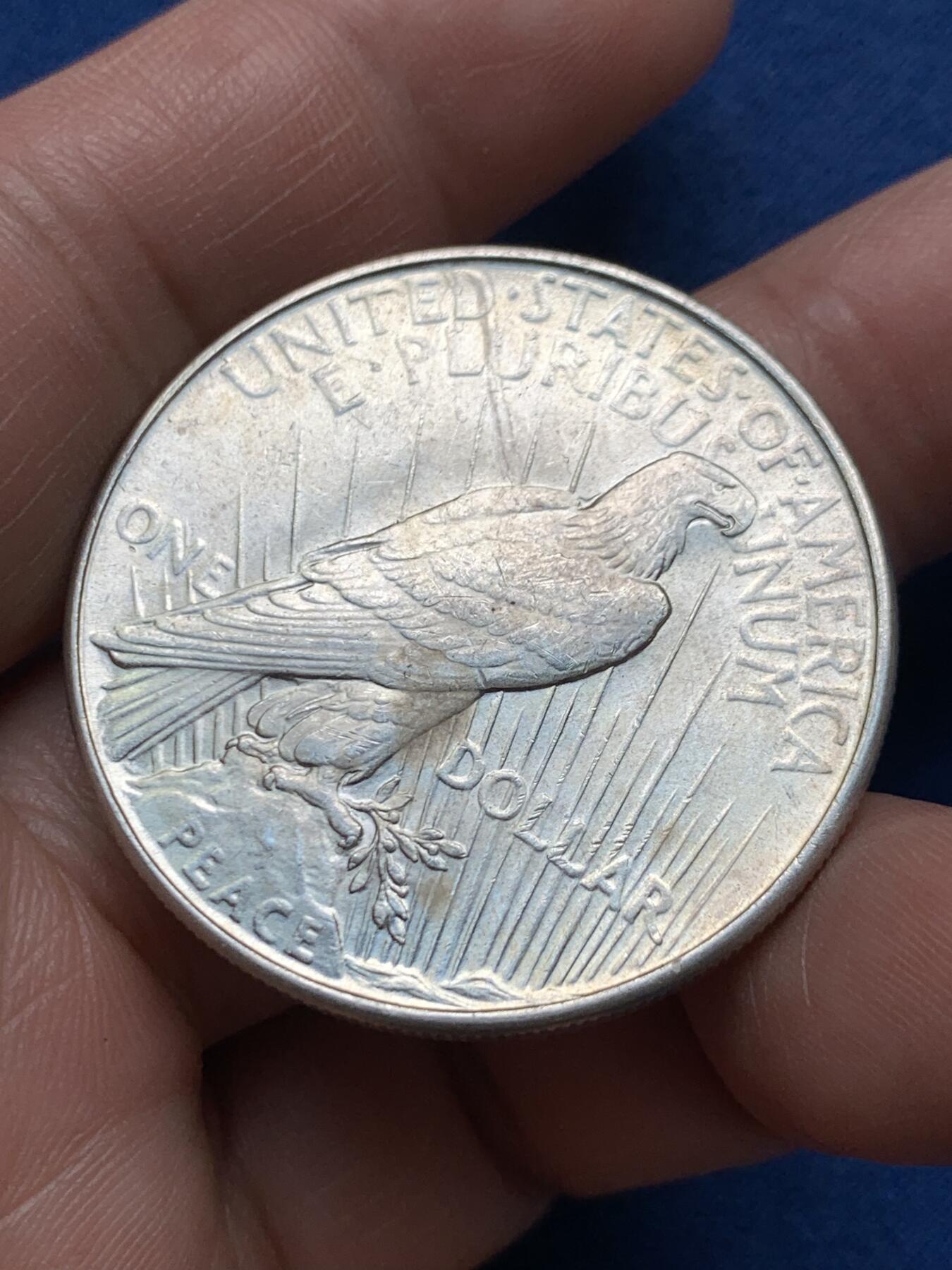 《竞宝斋》第481场 周日，周一 2场连拍 （全场包邮）20级店铺 欢迎送拍 美国1922年和平一美元银币