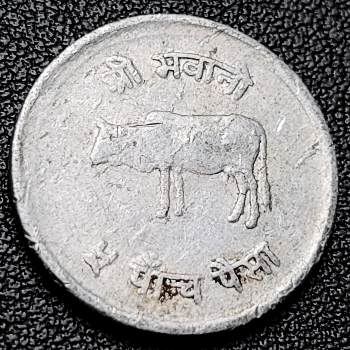 泉币菌-第228场-三月三 上巳节专场 拍品多 请提前出价