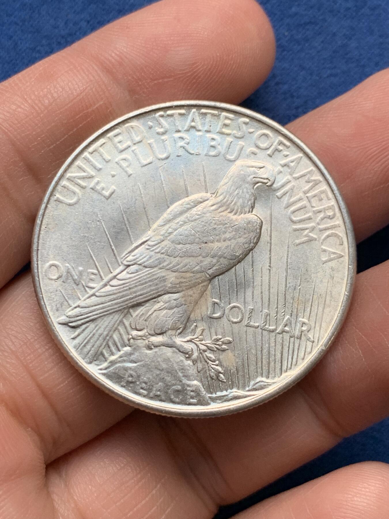 《竞宝斋》第481场 周日，周一 2场连拍 （全场包邮）20级店铺 欢迎送拍 美国1922年和平一美元银币