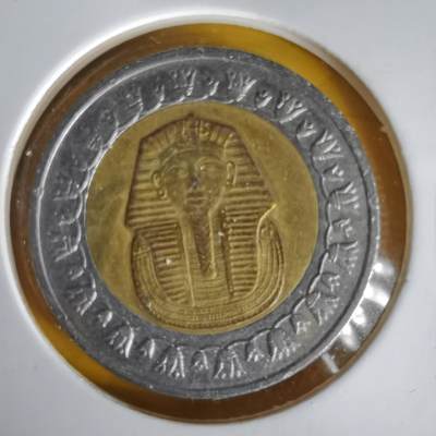 沼泽如烟--第1061场 - 埃及