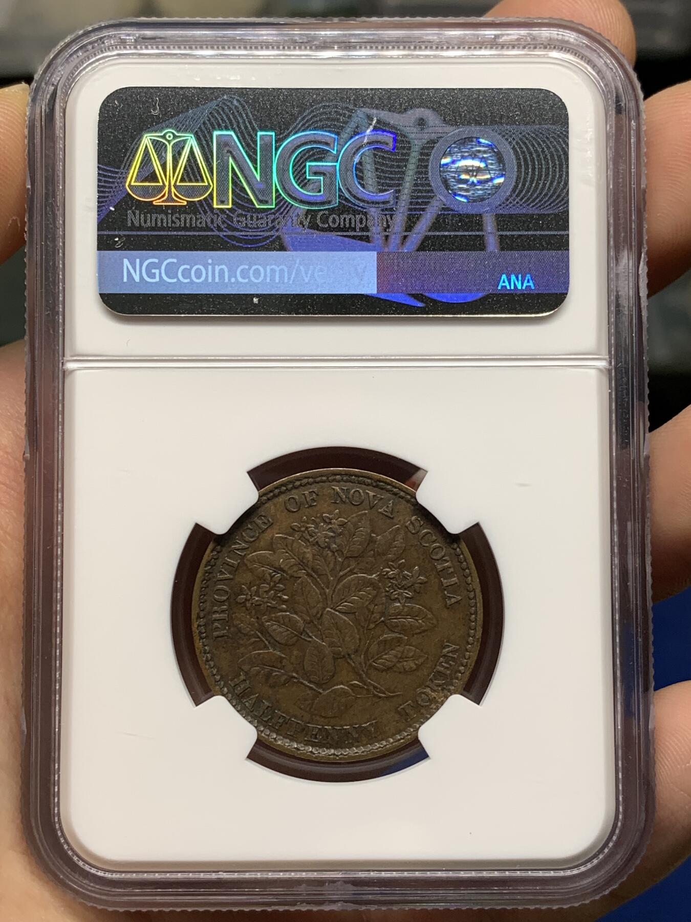 《竞宝斋》第481场 周日，周一 2场连拍 （全场包邮）20级店铺 欢迎送拍 NGC XF45BN 加拿大1856五月花1/2便士 花叶及人像细节很好的一枚，好品少见的品种。背面五月花为北美代表型花卉，是美国开端的象征。略低评状态