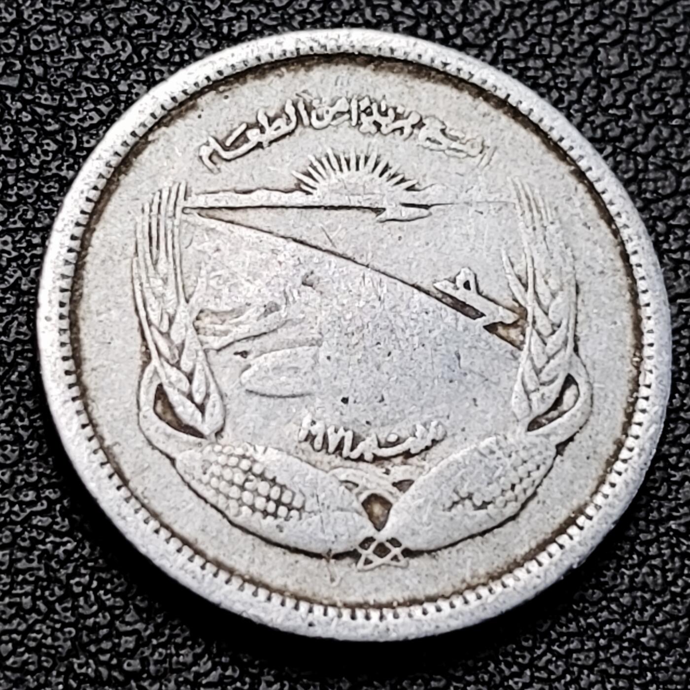 泉币菌-第229场-拍品多 请提前出价