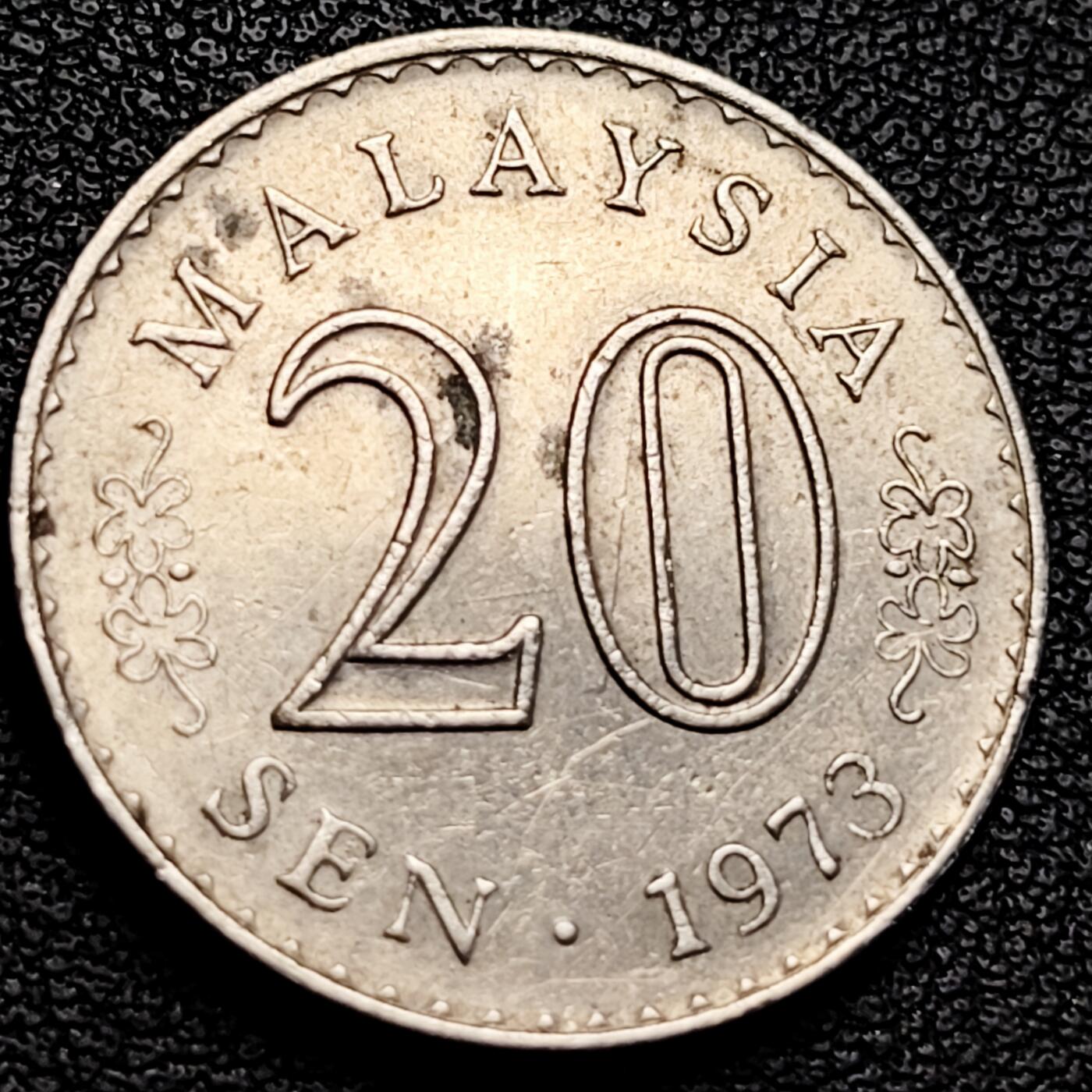 泉币菌-第229场-拍品多 请提前出价