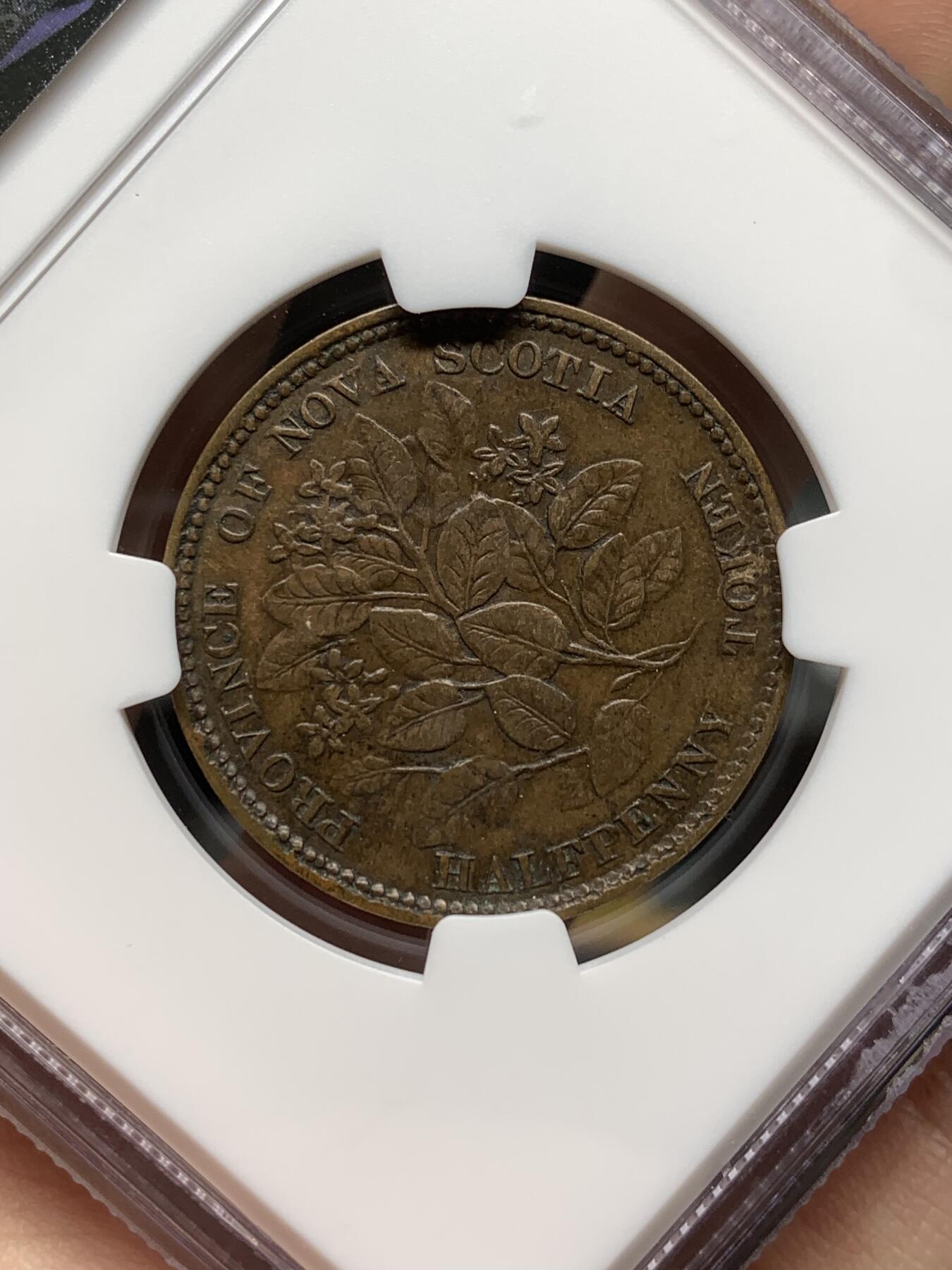 《竞宝斋》第481场 周日，周一 2场连拍 （全场包邮）20级店铺 欢迎送拍 NGC XF45BN 加拿大1856五月花1/2便士 花叶及人像细节很好的一枚，好品少见的品种。背面五月花为北美代表型花卉，是美国开端的象征。略低评状态