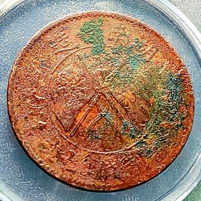 泉币菌-第229场-拍品多 请提前出价 湖南省造二十文铜元 嘉禾 约32×1.5mm