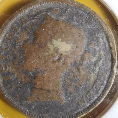 沼泽如烟--第1063场 - 老铜币