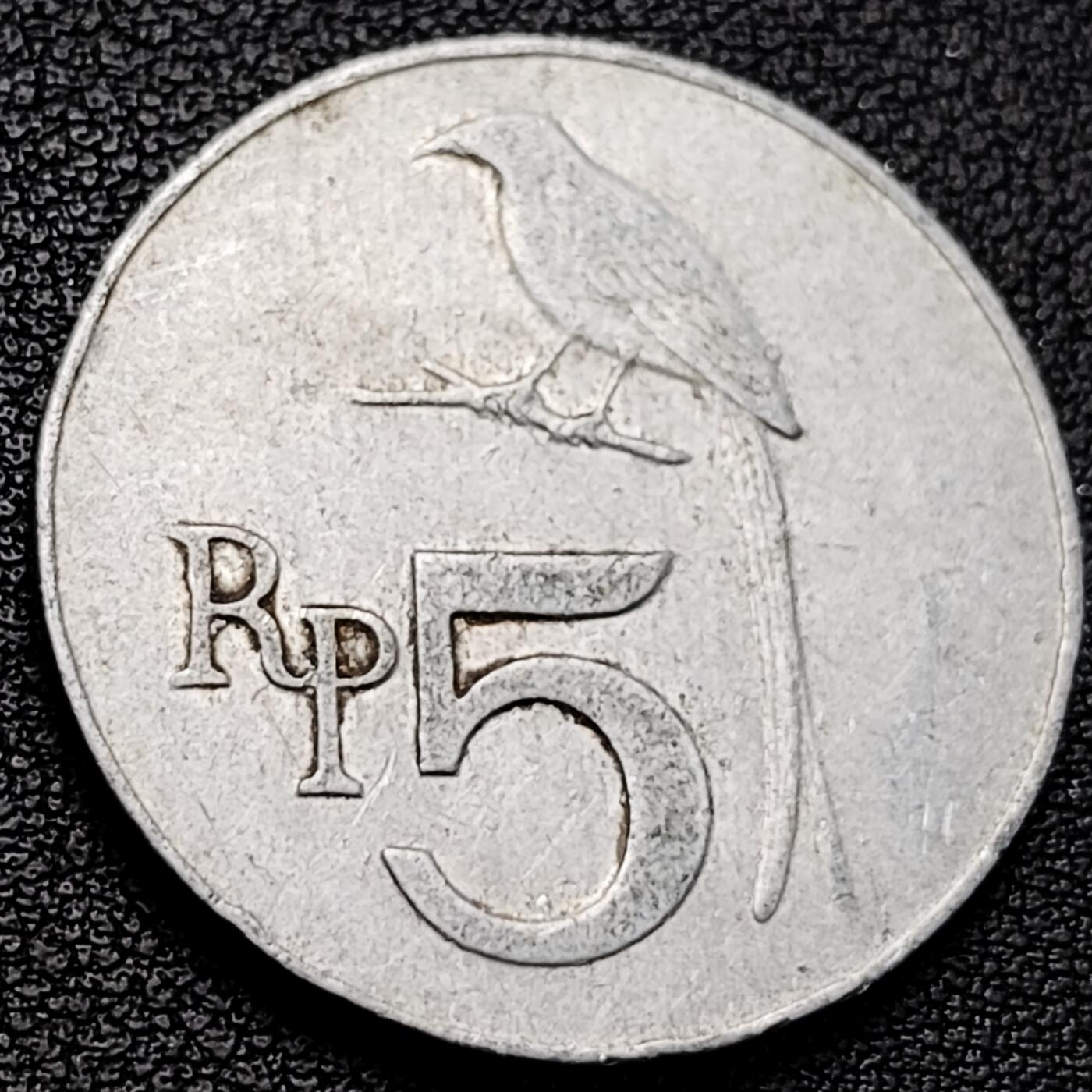 泉币菌-第229场-拍品多 请提前出价